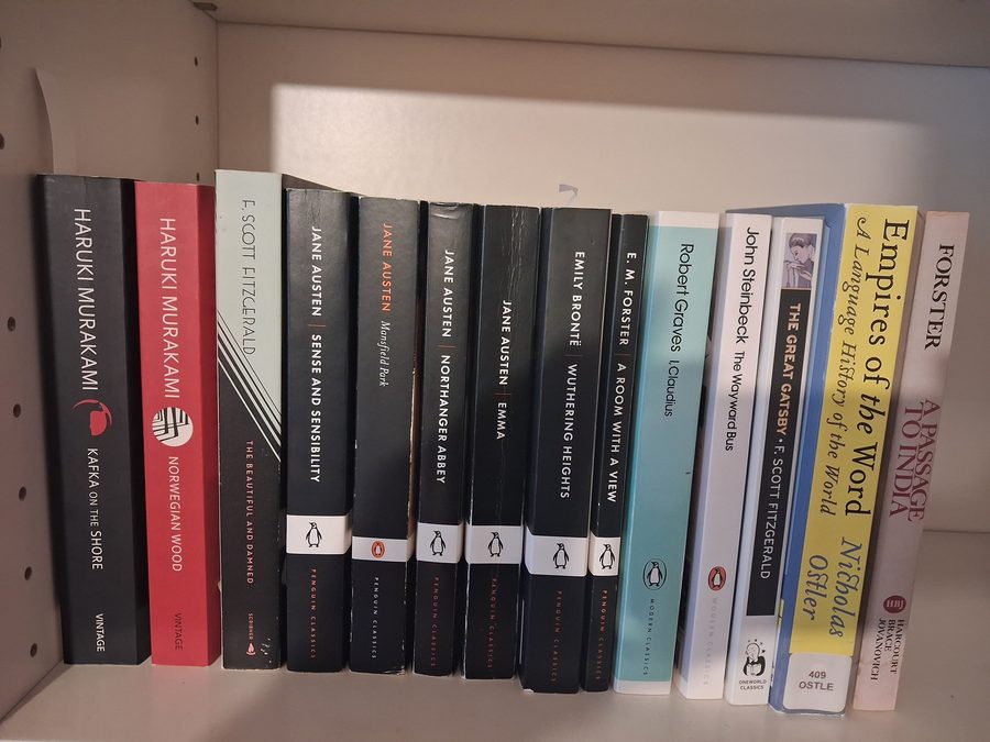 Literary fiction shelf